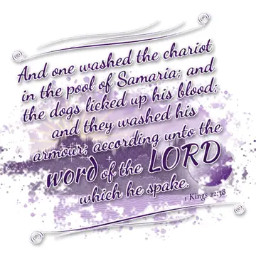 1 Kings 22:38 – And one washed the chariot in the pool of Samaria; and the dogs licked up his blood; and they washed his armour; according unto the word of the LORD…