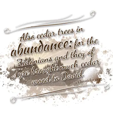1 Chronicles 22:4 – Also cedar trees in abundance: for the Zidonians and they of Tyre brought much cedar wood to David.