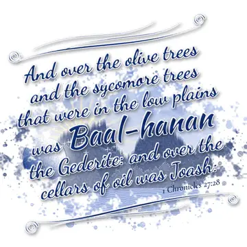 1 Chronicles 27:28 – And over the olive trees and the sycomore trees that were in the low plains was Baal-hanan the Gederite: and over the cellars of oil was Joash: