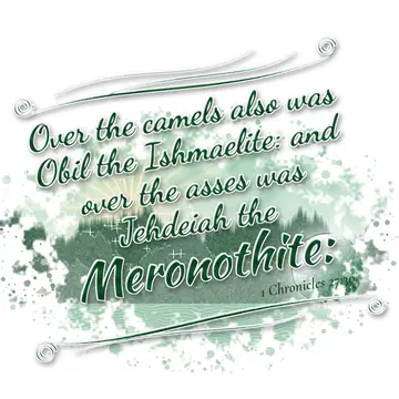 1 Chronicles 27:30 – Over the camels also was Obil the Ishmaelite: and over the asses was Jehdeiah the Meronothite: