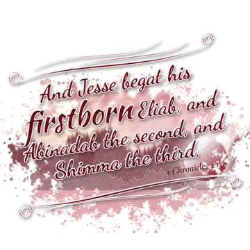 1 Chronicles 2:13 – And Jesse begat his firstborn Eliab, and Abinadab the second, and Shimma the third,