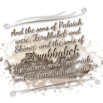 1 Chronicles 3:19 – And the sons of Pedaiah were, Zerubbabel, and Shimei: and the sons of Zerubbabel; Meshullam, and Hananiah, and Shelomith their sister: