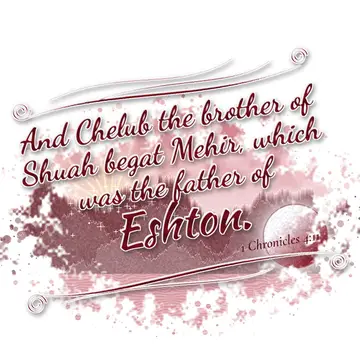 1 Chronicles 4:11 – And Chelub the brother of Shuah begat Mehir, which was the father of Eshton.