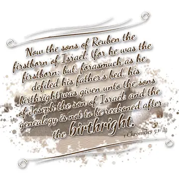 1 Chronicles 5:1 – Now the sons of Reuben the firstborn of Israel, (for he was the firstborn; but, forasmuch as he defiled his father's bed, his birthright…
