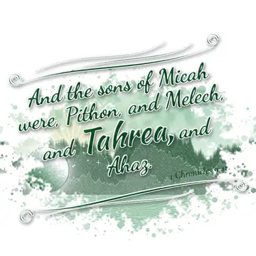 1 Chronicles 9:41 – And the sons of Micah were, Pithon, and Melech, and Tahrea, and Ahaz.