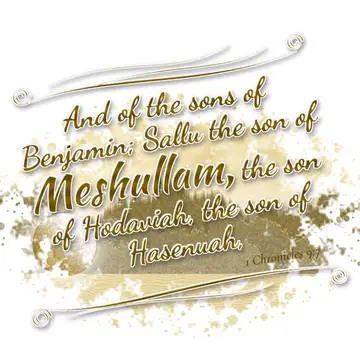 1 Chronicles 9:7 – And of the sons of Benjamin; Sallu the son of Meshullam, the son of Hodaviah, the son of Hasenuah,