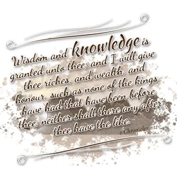 2 Chronicles 1:12 – Wisdom and knowledge is granted unto thee; and I will give thee riches, and wealth, and honour, such as none of the kings have had that have been…