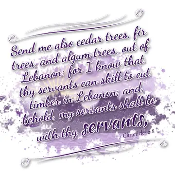 2 Chronicles 2:8 – Send me also cedar trees, fir trees, and algum trees, out of Lebanon: for I know that thy servants can skill to cut timber in Lebanon; and, behold…