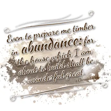 2 Chronicles 2:9 – Even to prepare me timber in abundance: for the house which I am about to build shall be wonderful great.