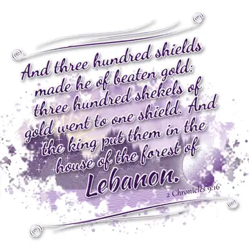 2 Chronicles 9:16 – And three hundred shields made he of beaten gold: three hundred shekels of gold went to one shield. And the king put them in the house of the forest…