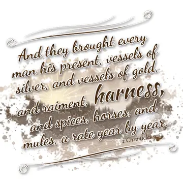 2 Chronicles 9:24 – And they brought every man his present, vessels of silver, and vessels of gold, and raiment, harness, and spices, horses, and mules, a rate year by…