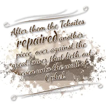 Nehemiah 3:27 – After them the Tekoites repaired another piece, over against the great tower that lieth out, even unto the wall of Ophel.