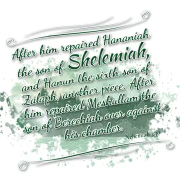 Nehemiah 3:30 – After him repaired Hananiah the son of Shelemiah, and Hanun the sixth son of Zalaph, another piece. After him repaired Meshullam the son of Berechiah…