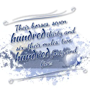 Nehemiah 7:68 – Their horses, seven hundred thirty and six: their mules, two hundred forty and five: