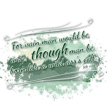 Job 11:12 – For vain man would be wise, though man be born like a wild ass's colt.