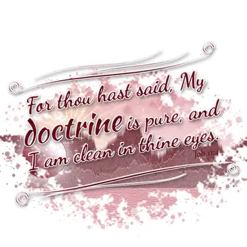 Job 11:4 – For thou hast said, My doctrine is pure, and I am clean in thine eyes.