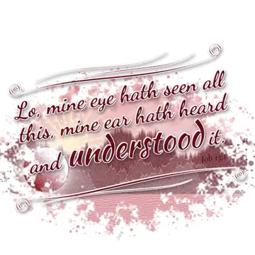 Job 13:1 – Lo, mine eye hath seen all this, mine ear hath heard and understood it.