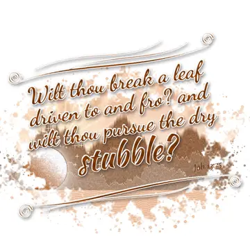 Job 13:25 – Wilt thou break a leaf driven to and fro? and wilt thou pursue the dry stubble?