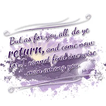 Job 17:10 – But as for you all, do ye return, and come now: for I cannot find one wise man among you.