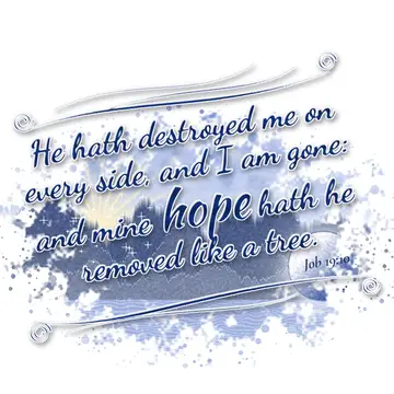 Job 19:10 – He hath destroyed me on every side, and I am gone: and mine hope hath he removed like a tree.