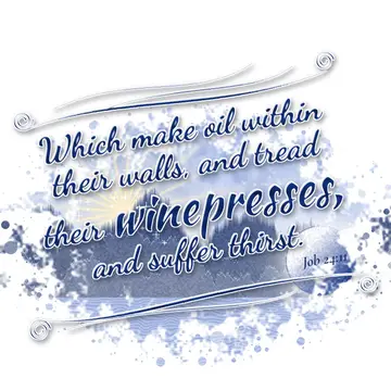 Job 24:11 – Which make oil within their walls, and tread their winepresses, and suffer thirst.