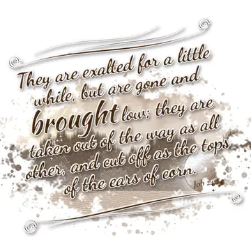 Job 24:24 – They are exalted for a little while, but are gone and brought low; they are taken out of the way as all other, and cut off as the tops of the ears of…