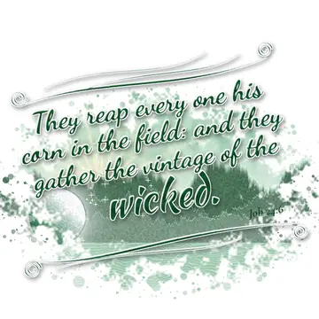 Job 24:6 – They reap every one his corn in the field: and they gather the vintage of the wicked.