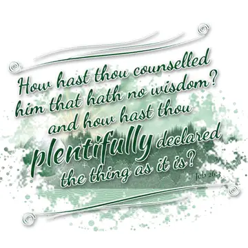 Job 26:3 – How hast thou counselled him that hath no wisdom? and how hast thou plentifully declared the thing as it is?