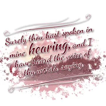 Job 33:8 – Surely thou hast spoken in mine hearing, and I have heard the voice of thy words, saying,