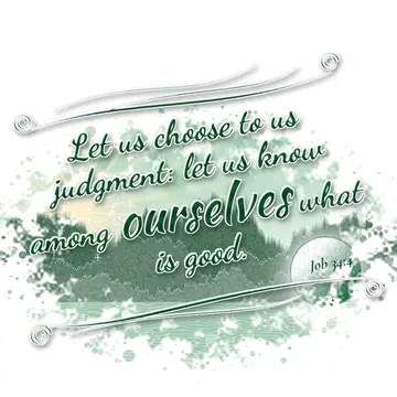Job 34:4 – Let us choose to us judgment: let us know among ourselves what is good.