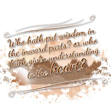 Job 38:36 – Who hath put wisdom in the inward parts? or who hath given understanding to the heart?