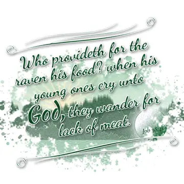 Job 38:41 – Who provideth for the raven his food? when his young ones cry unto God, they wander for lack of meat.