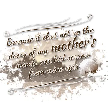 Job 3:10 – Because it shut not up the doors of my mother's womb, nor hid sorrow from mine eyes.