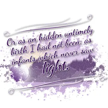 Job 3:16 – Or as an hidden untimely birth I had not been; as infants which never saw light.