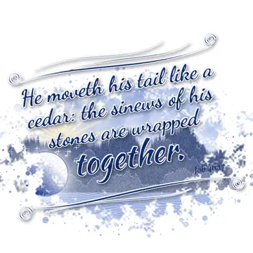 Job 40:17 – He moveth his tail like a cedar: the sinews of his stones are wrapped together.