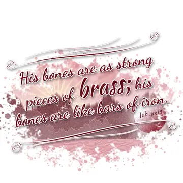 Job 40:18 – His bones are as strong pieces of brass; his bones are like bars of iron.