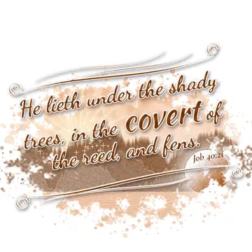 Job 40:21 – He lieth under the shady trees, in the covert of the reed, and fens.