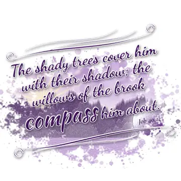 Job 40:22 – The shady trees cover him with their shadow; the willows of the brook compass him about.