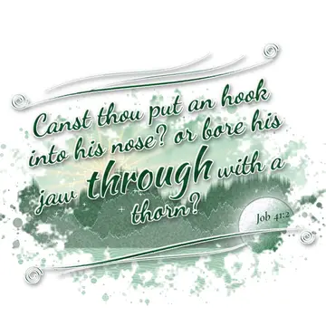Job 41:2 – Canst thou put an hook into his nose? or bore his jaw through with a thorn?