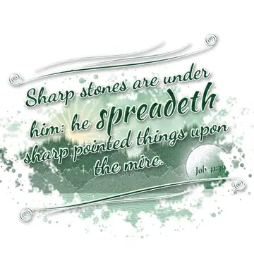 Job 41:30 – Sharp stones are under him: he spreadeth sharp pointed things upon the mire.