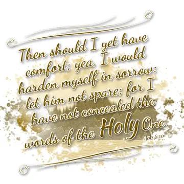 Job 6:10 – Then should I yet have comfort; yea, I would harden myself in sorrow: let him not spare; for I have not concealed the words of the Holy One.