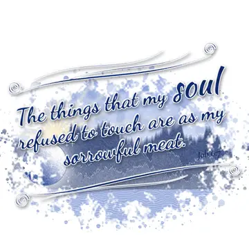 Job 6:7 – The things that my soul refused to touch are as my sorrowful meat.