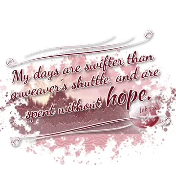 Job 7:6 – My days are swifter than a weaver's shuttle, and are spent without hope.