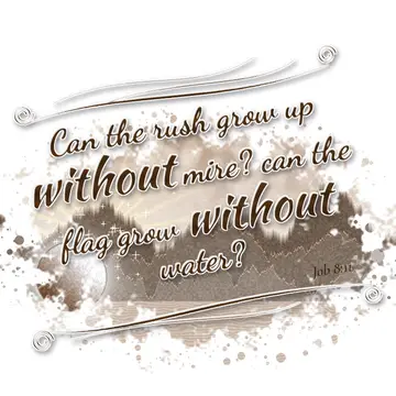 Job 8:11 – Can the rush grow up without mire? can the flag grow without water?