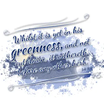 Job 8:12 – Whilst it is yet in his greenness, and not cut down, it withereth before any other herb.