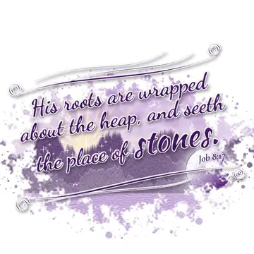 Job 8:17 – His roots are wrapped about the heap, and seeth the place of stones.