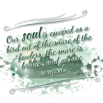 Psalms 124:7 – Our soul is escaped as a bird out of the snare of the fowlers: the snare is broken, and we are escaped.