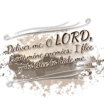 Psalms 143:9 – Deliver me, O LORD, from mine enemies: I flee unto thee to hide me.