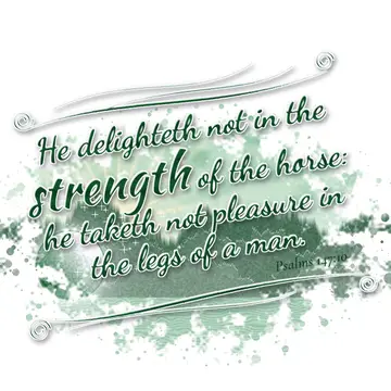 Psalms 147:10 – He delighteth not in the strength of the horse: he taketh not pleasure in the legs of a man.