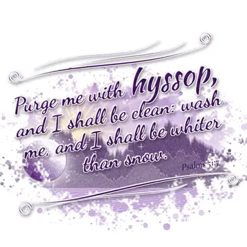 Psalms 51:7 – Purge me with hyssop, and I shall be clean: wash me, and I shall be whiter than snow.